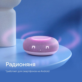 Умная колонка VK Капсула Мини Маруся розовый 5W 1.0 BT 12м (MRC02PI) от магазина РЭССИ