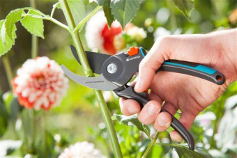 Секатор контактный Gardena B/M средний черный/синий (08904-20.000.00) от магазина РЭССИ