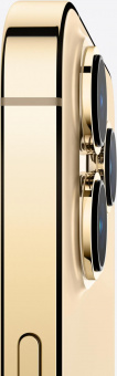 Смартфон Apple A2484 iPhone 13 Pro Max 128Gb 6Gb золотой моноблок 3G 4G 1Sim 6.7" 1284x2778 iOS 15 12Mpix 802.11 a/b/g/n/ac/ax NFC GPS GSM900/1800 GSM1900 TouchSc Protect от магазина РЭССИ