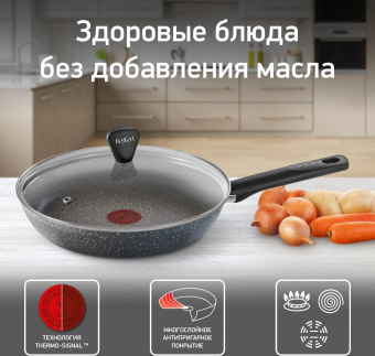 Сковорода Tefal Natural Cook 04211924 круглая 24см ручка несъемная (с крышкой) серый (9100046100) от магазина РЭССИ