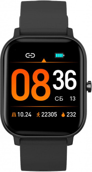 Смарт-часы SunWind SW30 1.54" корп.черный рем.черный (SW30B) от магазина РЭССИ