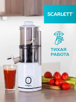 Соковыжималка шнековая Scarlett SC-JE50S63 400Вт рез.сок.:600мл. белый от магазина РЭССИ