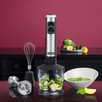 Блендер погружной Rondell 1300-RE-01 1200Вт серебристый от магазина РЭССИ