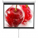 Экран 180x240см Digis Optimal-D DSOD-4304 1:1 настенно-потолочный рулонный от магазина РЭССИ