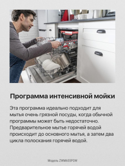 Посудомоечная машина Hansa AutoOpen ZWM655POW белый (полноразмерная) от магазина РЭССИ