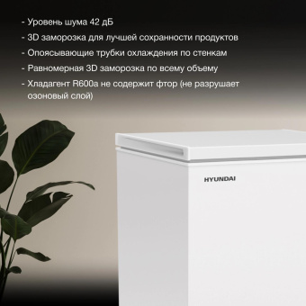 Морозильный ларь Hyundai CH20081 белый 82Вт от магазина РЭССИ
