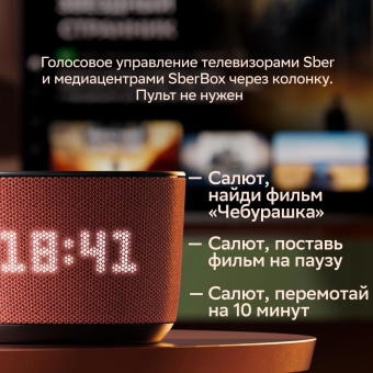 Умная колонка Sber Boom Home SBDV-00171G Салют серый 8W Mono BT/Wi-Fi (без.бат) от магазина РЭССИ