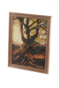 Фоторамка ФОТОРАМКИ 15х20 (3N68) орех от магазина РЭССИ