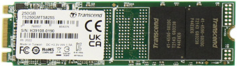 Накопитель SSD Transcend SATA III 250Gb TS250GMTS825S 825S M.2 2280 0.3 DWPD от магазина РЭССИ