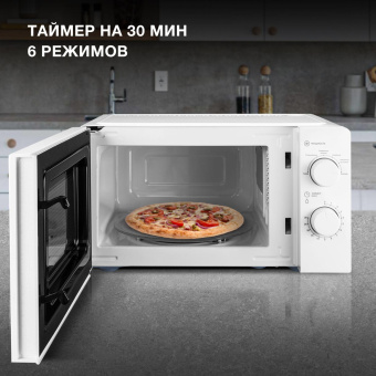 Микроволновая Печь Hyundai HYM-M2046 20л. 700Вт белый от магазина РЭССИ