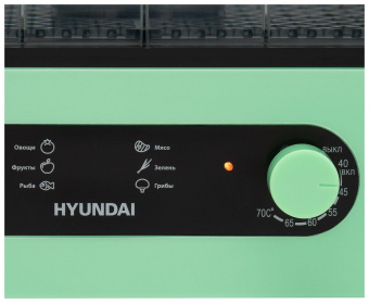 Сушка для фруктов и овощей Hyundai HYDF-5032 5под. 400Вт мятный от магазина РЭССИ