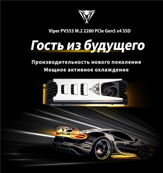 Накопитель SSD Patriot PCIe 5.0 x4 4TB PV553P4TBM28H PV553 M.2 2280 от магазина РЭССИ