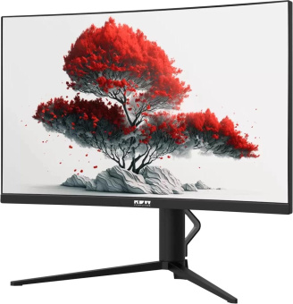 Монитор RDW Computers 27" RDW2706C (Q03В375V2A1) черный VA 5ms 16:9 HDMI M/M матовая HAS Piv 4000:1 300cd 178гр/178гр 2560x1440 75Hz DP 2K USB (RUS) от магазина РЭССИ