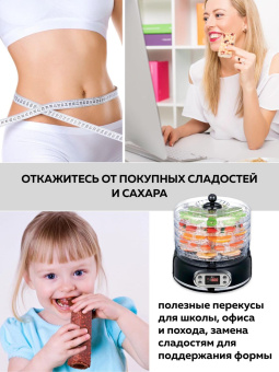 Сушка для фруктов и овощей GFGril GFD-002 6под. 500Вт черный от магазина РЭССИ