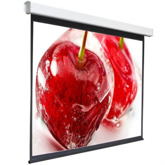 Экран 240x240см Digis Electra-F DSEF-1108 1:1 настенно-потолочный рулонный (моторизованный привод) от магазина РЭССИ