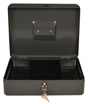 Ящик для денег Cactus CS-CB-004GY 90x300x240 серый от магазина РЭССИ
