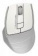 Картинка Мышь A4Tech Fstyler FG30S белый/серый оптическая (2000dpi) silent беспроводная USB (6but) от магазина РЭССИ Мышь A4Tech Fstyler FG30S белый/серый оптическая (2000dpi) silent беспроводная USB (6but) от магазина РЭССИ