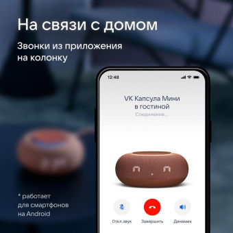 Умная колонка VK Капсула Мини Маруся терракотовый 5W 1.0 BT 10м (MRC02PK) от магазина РЭССИ