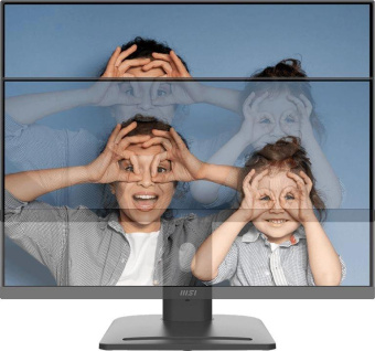 Монитор MSI 24.5" Pro MP253P черный IPS LED 16:9 HDMI M/M HAS Piv 300cd 178гр/178гр 1920x1080 100Hz VGA DP FHD 2.7кг от магазина РЭССИ