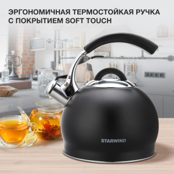 Чайник металлический Starwind Chef Concept 3л. черный (SW-CH1510) от магазина РЭССИ