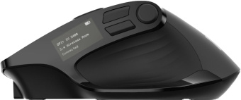 Мышь Оклик 502MW черный оптическая (2400dpi) silent беспроводная BT/Radio USB для ноутбука (9but) от магазина РЭССИ