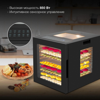 Сушка для фруктов и овощей Hyundai HYFD-8804 20под. 850Вт черный от магазина РЭССИ