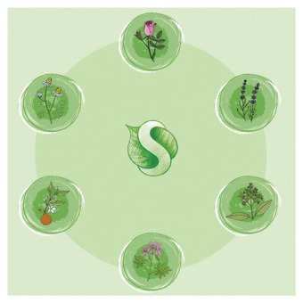 Жидкое мыло Synergetic МИНДАЛЬНОЕ МОЛОЧКО 5 л 4623722258472 105506 от магазина РЭССИ