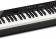 Цифровое фортепиано Casio PRIVIA PX-S3100BK 88клав. черный от магазина РЭССИ