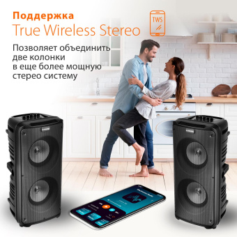 Минисистема SunWind SW-MS30 черный 60Вт FM USB BT SD/MMC от магазина РЭССИ