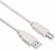 Кабель Buro USB2.0-AM/BM-5 USB A(m) USB B(m) 5м от магазина РЭССИ