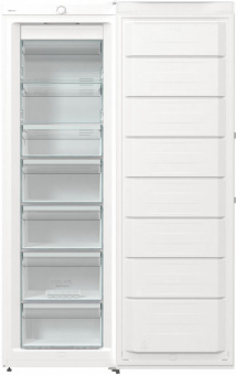 Морозильная камера Gorenje FN619FEW5 белый от магазина РЭССИ