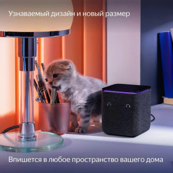 Умная колонка Yandex Станция Миди YNDX-00054BLK Алиса черный 24W 1.0 BT/Wi-Fi 10м от магазина РЭССИ