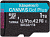 Флеш карта microSDXC 1TB Kingston SDCG3/1TBSP Canvas Go! Plus w/o adapter от магазина РЭССИ