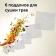 Картинка Сушка для фруктов и овощей Red Solution RFD-0151 18под. 500Вт черный от магазина РЭССИ Сушка для фруктов и овощей Red Solution RFD-0151 18под. 500Вт черный от магазина РЭССИ