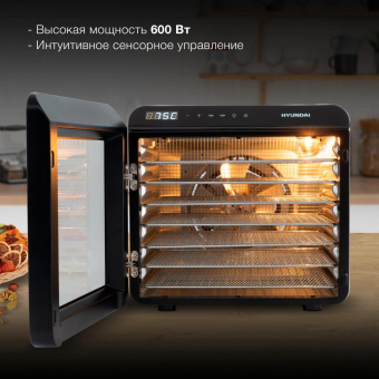 Сушка для фруктов и овощей Hyundai HYFD-8801 14под. 600Вт серебристый от магазина РЭССИ