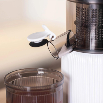 Соковыжималка шнековая Scarlett SC-JE50S63 400Вт рез.сок.:600мл. белый от магазина РЭССИ