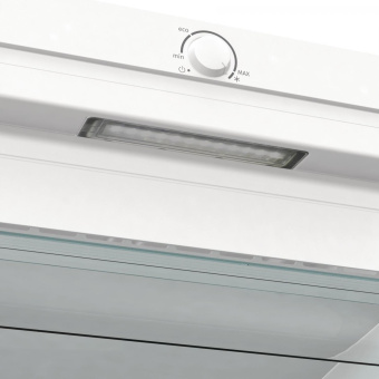 Морозильная камера Gorenje FN619FEW5 белый от магазина РЭССИ