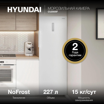 Морозильная камера Hyundai CU2505F белый от магазина РЭССИ
