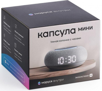 Умная колонка VK Капсула Мини Маруся св.серый 5W 1.0 BT 10м (MRC02GY) от магазина РЭССИ
