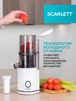 Соковыжималка шнековая Scarlett SC-JE50S63 400Вт рез.сок.:600мл. белый от магазина РЭССИ