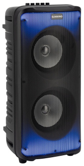 Минисистема SunWind SW-MS30 черный 60Вт FM USB BT SD/MMC от магазина РЭССИ