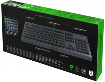 Клавиатура Razer Cynosa Lite черный USB Multimedia for gamer LED от магазина РЭССИ