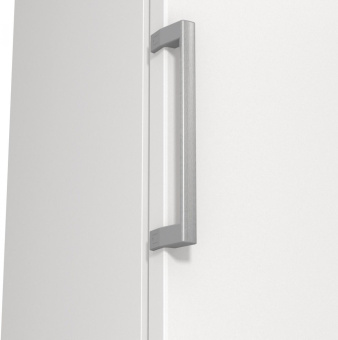 Морозильная камера Gorenje FN619FEW5 белый от магазина РЭССИ