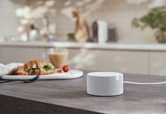 Умная колонка Yandex Станция Мини без часов Алиса серый 10W 1.0 BT 10м (YNDX-00021G) от магазина РЭССИ