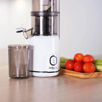 Соковыжималка шнековая Scarlett SC-JE50S63 400Вт рез.сок.:600мл. белый от магазина РЭССИ