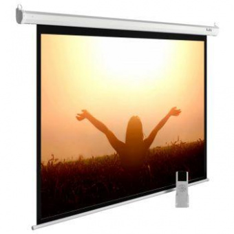 Экран Cactus 165x220см MotoExpert CS-PSME-220x165-WT 4:3 настенно-потолочный рулонный белый (моторизованный привод) от магазина РЭССИ