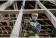 Картинка Сабельная пила DeWalt DCS369N 2800ход/мин от магазина РЭССИ Сабельная пила DeWalt DCS369N 2800ход/мин от магазина РЭССИ