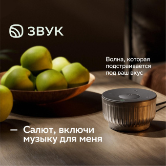 Умная колонка Sber Boom Mini 2 SBDV-00250A Салют черный 5W Mono BT/Wi-Fi от магазина РЭССИ