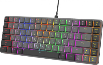 Клавиатура Оклик K615X механическая черный/серебристый USB Multimedia for gamer LED (1934413) от магазина РЭССИ