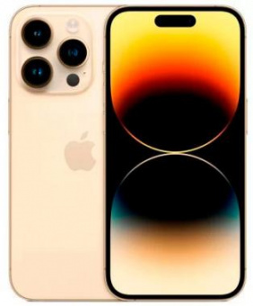 Смартфон Apple A2889 iPhone 14 Pro 256Gb 6Gb золотой моноблок 3G 4G 1Sim 6.1" 1179x2556 iOS 16 48Mpix 802.11 a/b/g/n/ac/ax NFC GPS GSM900/1800 GSM1900 TouchSc Protect от магазина РЭССИ